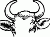 63328_cow_horns_mth
